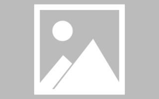 梨树县制作网站发布信息（网站如何发布信息）